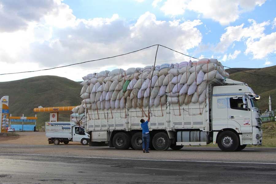 Yola düşen elektrik kablosuna sırıklı çözüm!