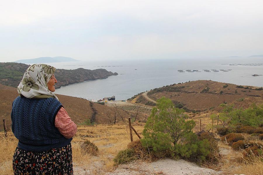 Kuzey Ormanları, Kaz Dağı ve Karaburun’da ekoloji mücadelesi