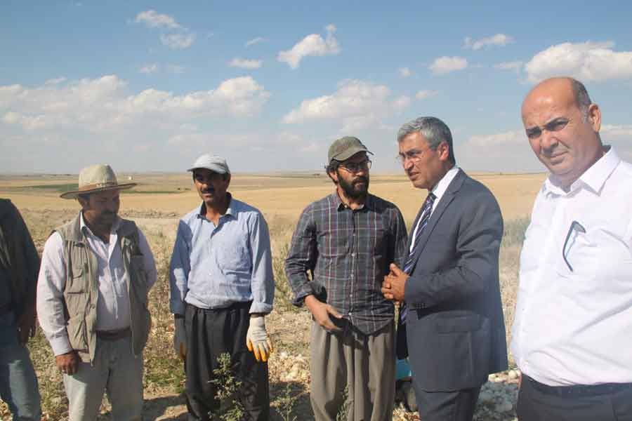 Tarım işçileri: Hayatımız naylon çadırlarda geçiyor