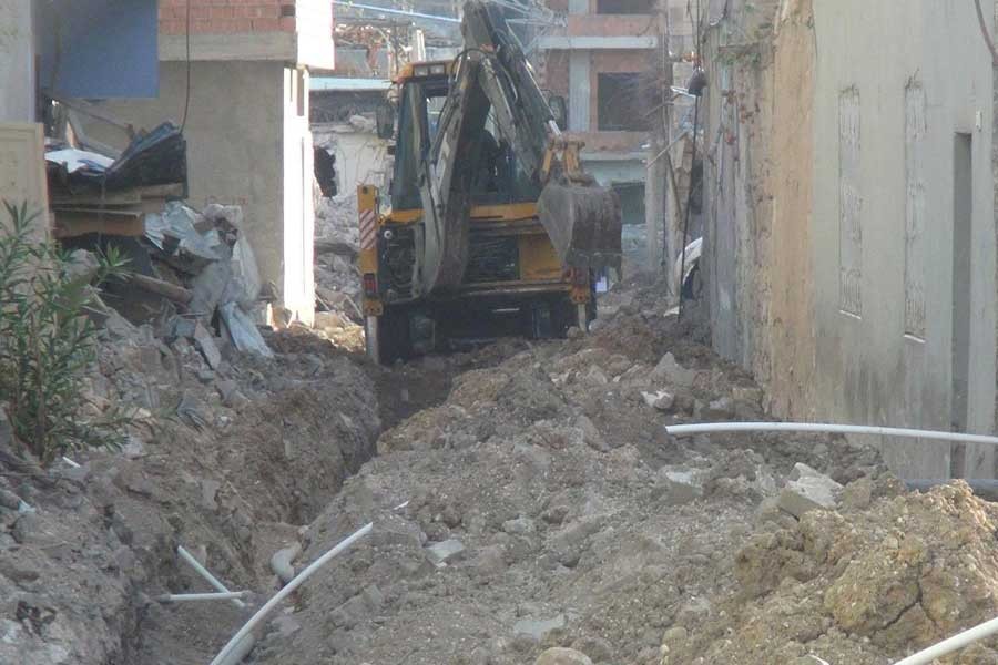 'Nusaybin'de hastalıkları engellemek için önlem alındı mı?’