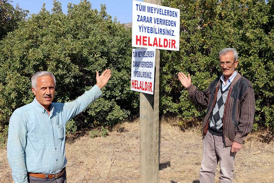 Ağaçlardan meyve yemek tek şartla helal: Zarar vermeyin