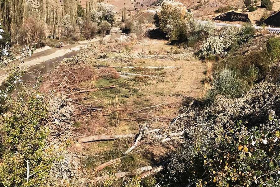 Animasyonda cennet gibiydi, uygulaması cehenneme çevirdi