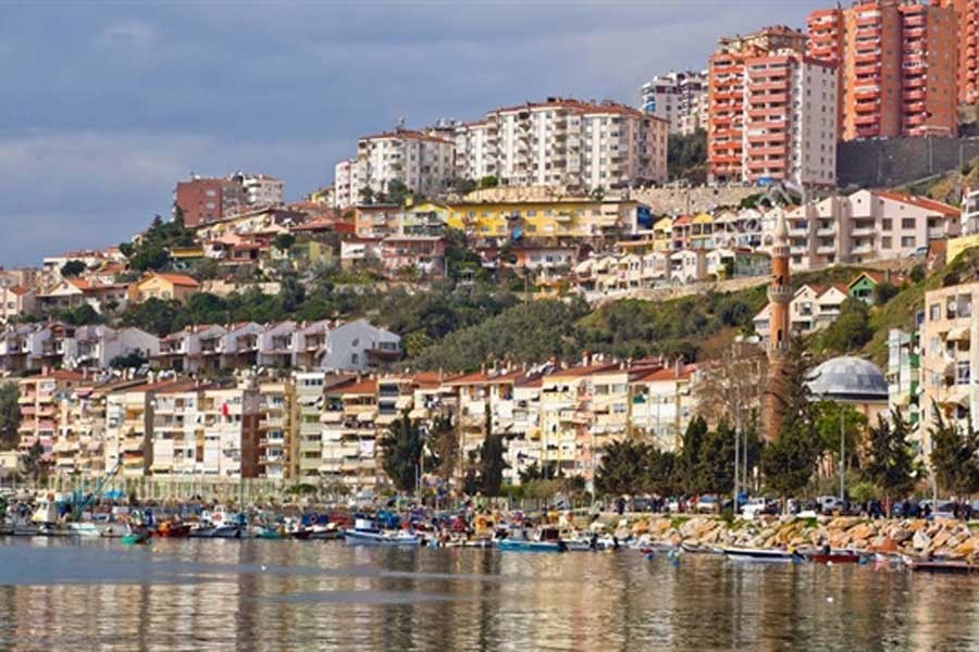 Gemlik zeytini OHAL mağduru olacak!