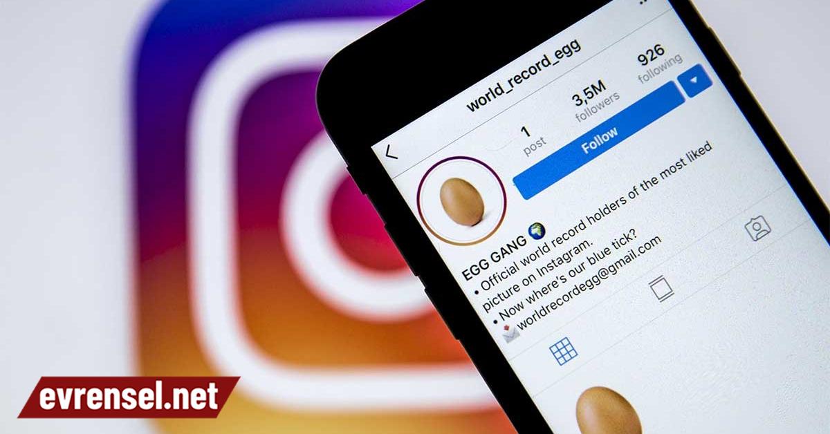 Instagram Da En Begenilen Fotograf Artik Bir Yumurtanin Evrensel